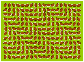 optical-illusion.gif